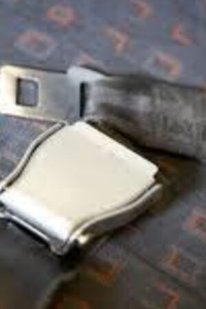 Safety belt for amusment rides