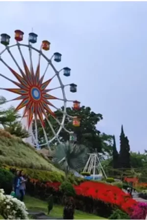 Ferris Wheel 30m